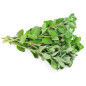 ORIGAN 1KG